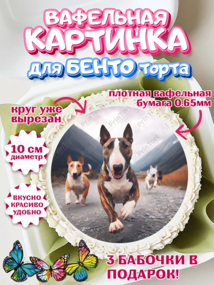 Вафельный круг для Бенто 10см, Бультерьер, Собака, Девочка, День рождения, арт. PT318323