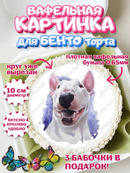 Вафельный круг для Бенто 10см, Бультерьер, Собака, Девочка, День рождения, арт. PT318326