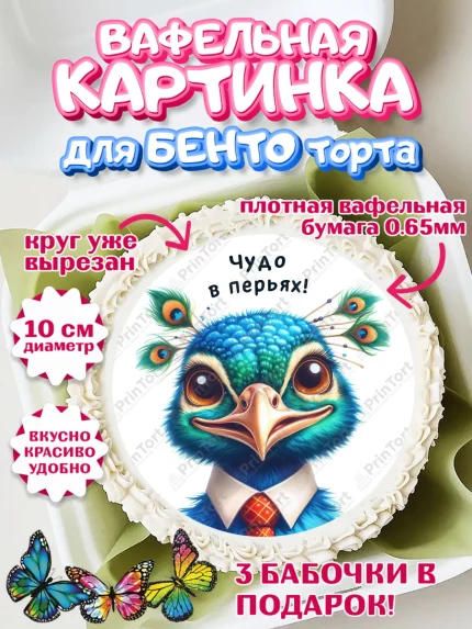 Вафельный круг для Бенто 10см, Прикольные животные, птица, животное, звери, забавные животные, арт. PT318448