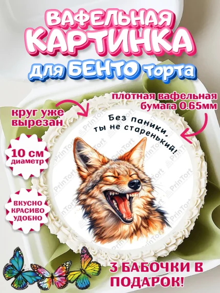 Вафельный круг для Бенто 10см, Прикольные животные, шакал, животное, звери, забавне животные, волк, арт. PT318449