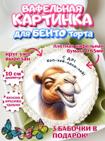 Вафельный круг для Бенто 10см, Прикольные животные, звери, животные, забавные животные, Девочка, арт. PT318450