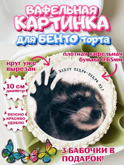 Вафельный круг для Бенто 10см, Енот Педро-педро, Енот, педро-педро, танцующий енот, Девочка, арт. PT318479