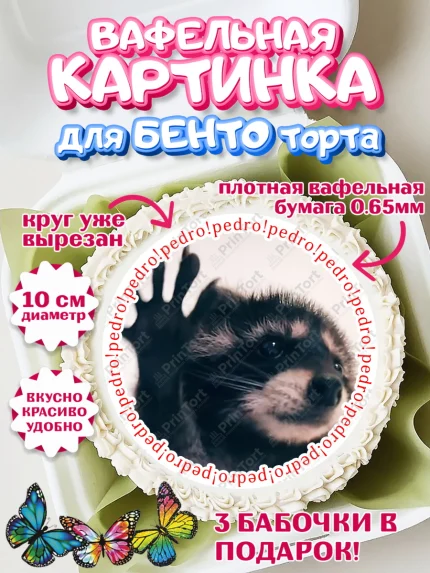 Вафельный круг для Бенто 10см, Енот Педро-педро, Енот, педро-педро, танцующий енот, Девочка, арт. PT318482