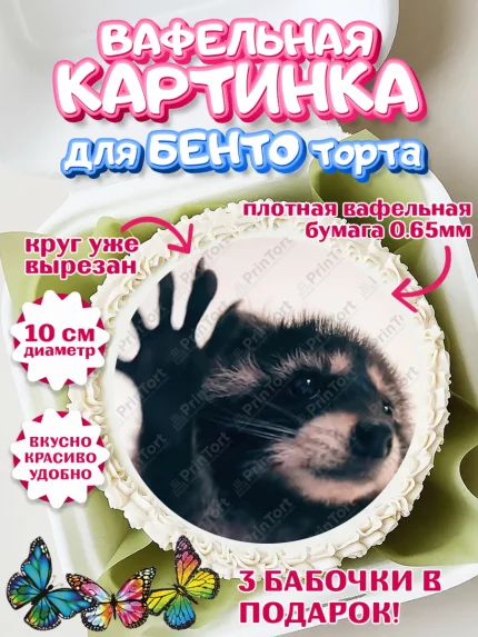 Вафельный круг для Бенто 10см, Енот Педро-педро, Енот, педро-педро, танцующий енот, Девочка, арт. PT318486
