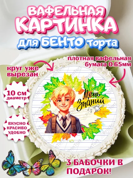 Вафельный круг для Бенто 10см, 1 сентября, Мальчик, школьник, ученик, учебник, школа, день знаний, арт. PT318608