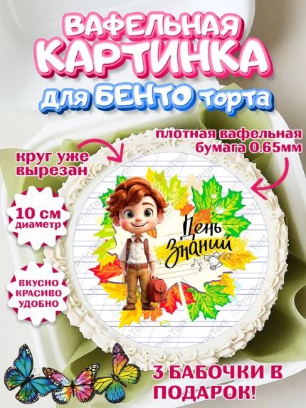 Вафельный круг для Бенто 10см, 1 сентября, Мальчик, школьник, ученик, учебник, школа, день знаний, арт. PT318616