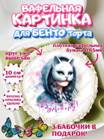 Вафельный круг для Бенто 10см, Квадробика девочки, девочка, подросток, квадробика, маска кошки, арт. PT318855
