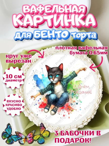 Вафельный круг для Бенто 10см, Квадробика мальчики, мальчик, подросток, квадробика, маска кота, арт. PT318860