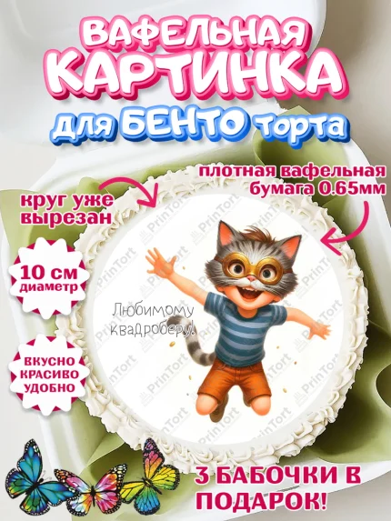 Вафельный круг для Бенто 10см, Квадробика мальчики, мальчик, подросток, квадробика, маска кота, арт. PT318863