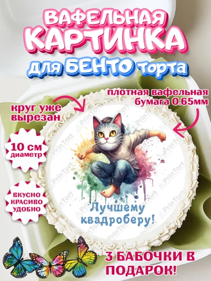 Вафельный круг для Бенто 10см, Квадробика мальчики, мальчик, подросток, квадробика, маска кота, арт. PT318864