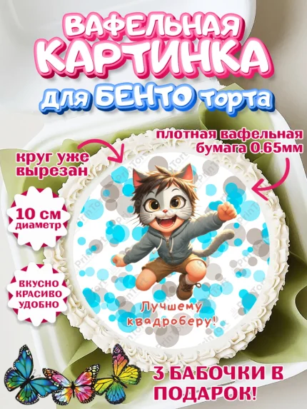 Вафельный круг для Бенто 10см, Квадробика мальчики, мальчик, подросток, квадробика, маска кота, арт. PT318865
