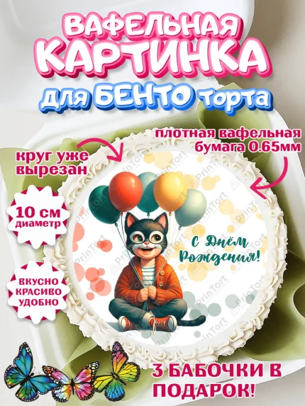 Вафельный круг для Бенто 10см, Квадробика мальчики, мальчик, подросток, квадробика, маска кота, арт. PT318866