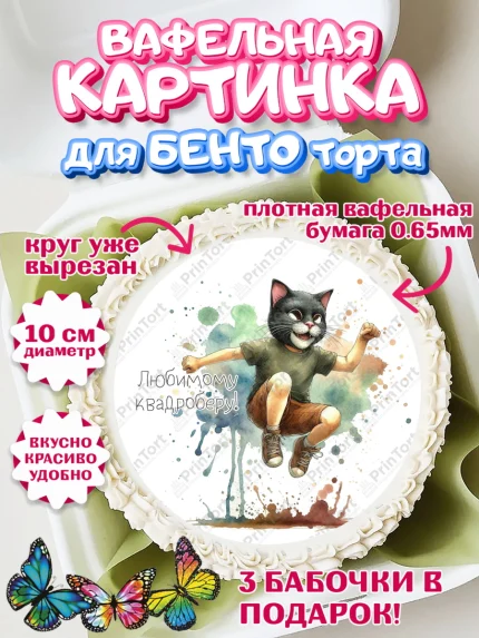 Вафельный круг для Бенто 10см, Квадробика мальчики, мальчик, подросток, квадробика, маска кота, арт. PT318867