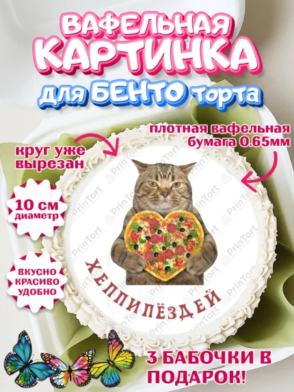 Вафельный круг для Бенто 10см, Мемы и коты, кот, мемный кот, кошка, приколы, Девочка, День рождения, арт. PT319321