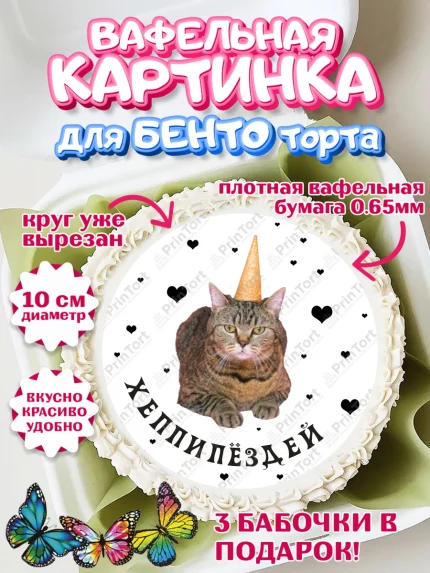 Вафельный круг для Бенто 10см, Мемы и коты, кот, мемный кот, кошка, приколы, Девочка, День рождения, арт. PT319324