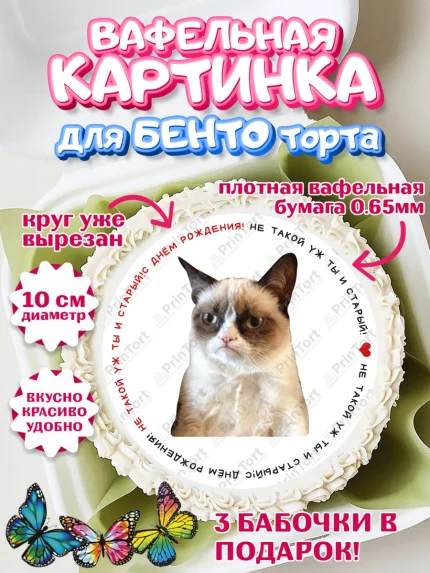 Вафельный круг для Бенто 10см, Мемы и коты, кот, мемный кот, кошка, приколы, Девочка, День рождения, арт. PT319327