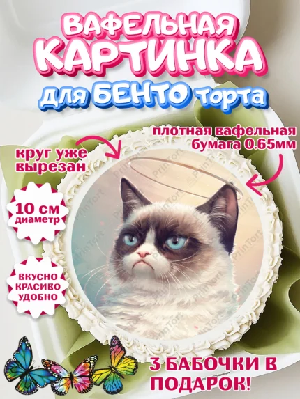 Вафельный круг для Бенто 10см, Мемы и коты, кот, мемный кот, кошка, приколы, Девочка, День рождения, арт. PT319330