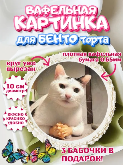 Вафельный круг для Бенто 10см, Мемы и коты, кот, мемный кот, кошка, приколы, Девочка, День рождения, арт. PT319331