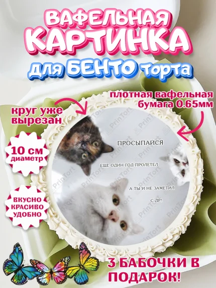 Вафельный круг для Бенто 10см, Мемы и коты, кот, мемный кот, кошка, приколы, Девочка, День рождения, арт. PT319333
