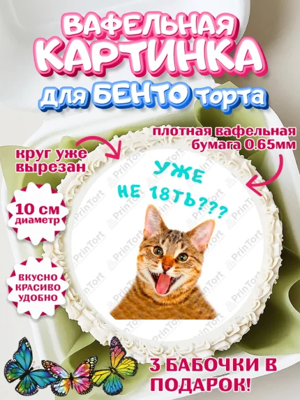 Вафельный круг для Бенто 10см, Мемы и коты, кот, мемный кот, кошка, приколы, Девочка, День рождения, арт. PT319334