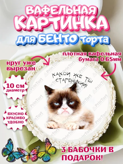 Вафельный круг для Бенто 10см, Мемы и коты, кот, мемный кот, кошка, приколы, Девочка, День рождения, арт. PT319335