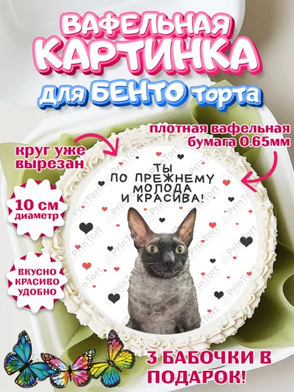 Вафельный круг для Бенто 10см, Мемы и коты, кот, мемный кот, кошка, приколы, Девочка, День рождения, арт. PT319336