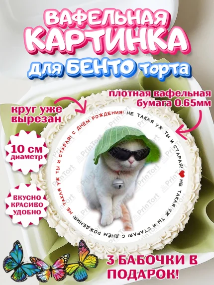 Вафельный круг для Бенто 10см, Мемы и коты, кот, мемный кот, кошка, приколы, Девочка, День рождения, арт. PT319338
