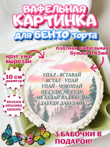 Вафельный круг для Бенто 10см, Прикольная, приколы, мемы, Девочка, День рождения, арт. PT320087