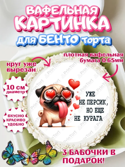 Вафельный круг для Бенто 10см, Прикольная, приколы, мемы, Девочка, День рождения, арт. PT320096