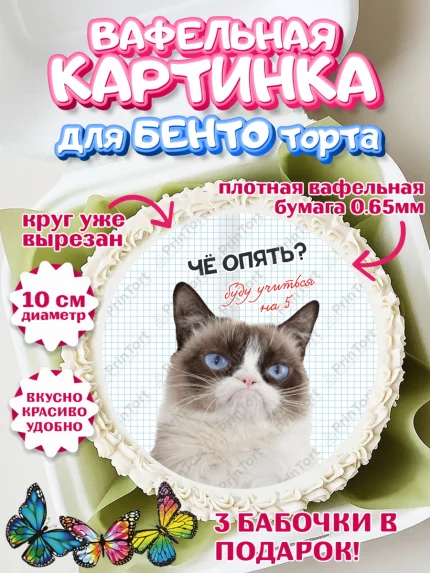 Вафельный круг для Бенто 10см, 1 сентября, День знаний, снова в школу, первый раз в первый класс, арт. PT320136