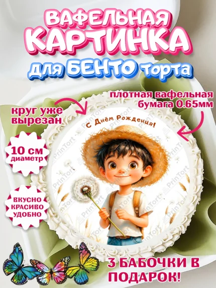 Вафельный круг для Бенто 10см, День рождения, мальчик, одуванчик, арт. PT320171