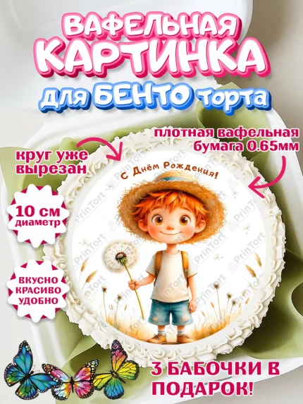 Вафельный круг для Бенто 10см, День рождения, мальчик, одуванчик, арт. PT320172