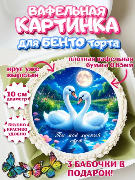 Вафельный круг для Бенто 10см, День рождения, Девушка, арт. PT320174