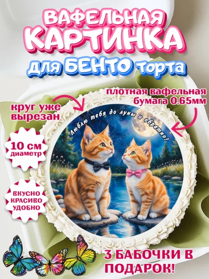 Вафельный круг для Бенто 10см, День рождения, Девушка, арт. PT320177