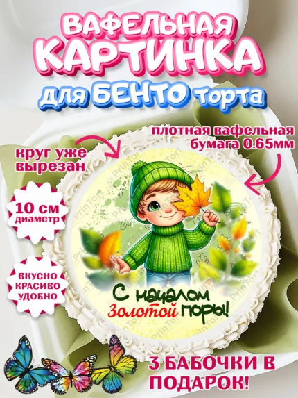 Вафельный круг для Бенто 10см, День рождения, осень, осенняя пора, листья, девочка, осенние листья, арт. PT320214