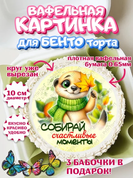 Вафельный круг для Бенто 10см, День рождения, осень, осенняя пора, листья, девочка, осенние листья, арт. PT320215