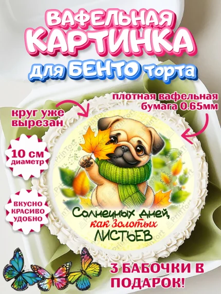 Вафельный круг для Бенто 10см, День рождения, осень, осенняя пора, листья, девочка, осенние листья, арт. PT320217