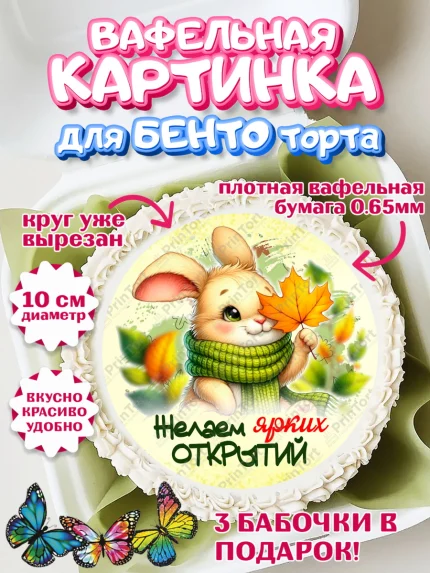 Вафельный круг для Бенто 10см, День рождения, осень, осенняя пора, листья, девочка, осенние листья, арт. PT320218