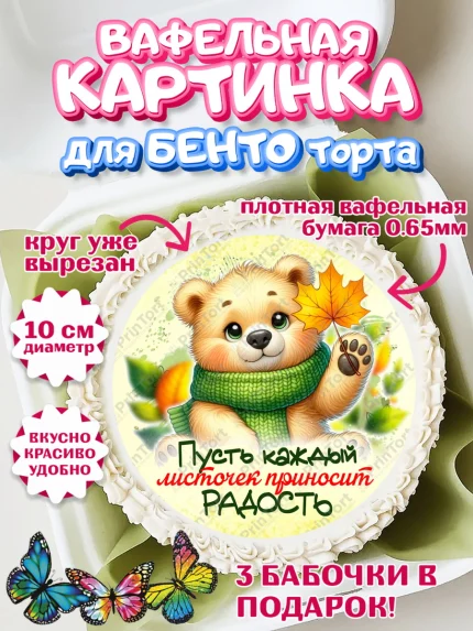 Вафельный круг для Бенто 10см, День рождения, осень, осенняя пора, листья, девочка, осенние листья, арт. PT320219