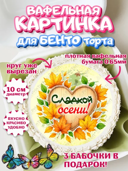 Вафельный круг для Бенто 10см, День рождения, осень, осенняя пора, листья, девочка, осенние листья, арт. PT320220