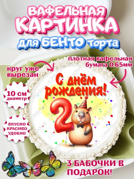 Вафельный круг для Бенто 10см, День рождения, Капибара, праздник, Девочка, 2 года, арт. PT321389