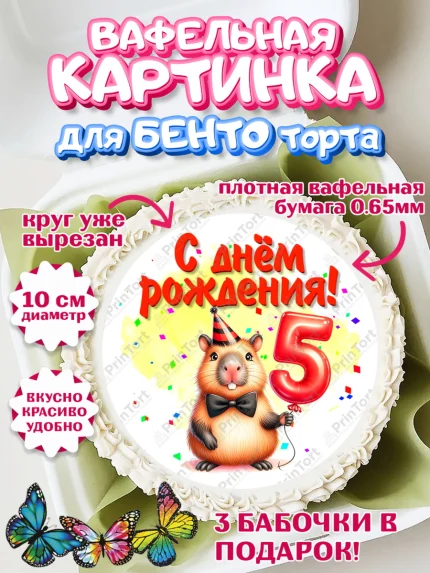 Вафельный круг для Бенто 10см, День рождения, Капибара, праздник, Девочка, 5 лет, арт. PT321392