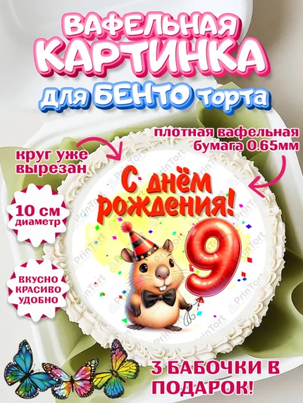 Вафельный круг для Бенто 10см, День рождения, Капибара, праздник, Девочка, 9 лет, арт. PT321396