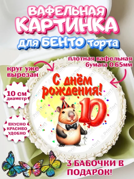 Вафельный круг для Бенто 10см, День рождения, Капибара, праздник, Девочка, 10 лет, арт. PT321397