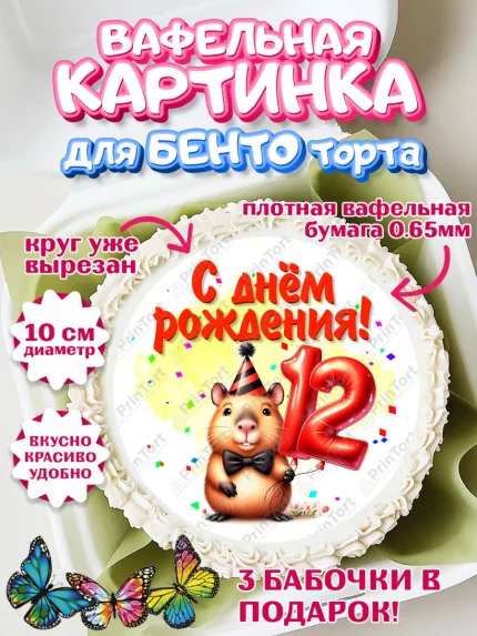 Вафельный круг для Бенто 10см, День рождения, Капибара, праздник, Девочка, 12 лет, арт. PT321399