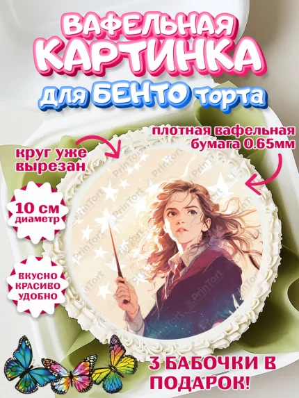 Вафельный круг для Бенто 10см, Гарри Поттер, Harry Potter, Хогвартс, Гермиона, Драко, Рон, арт. PT322064