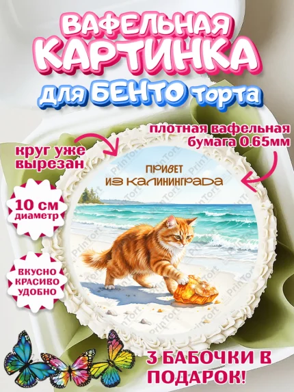 Вафельный круг для Бенто 10см, Калининград, город Калининград, с любовью из Калининграда, Девочка, арт. PT322357