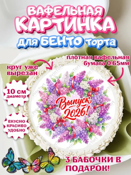 Вафельный круг для Бенто 10см, Подарок учителю, Девушка, Выпускной в школе, арт. PT323160