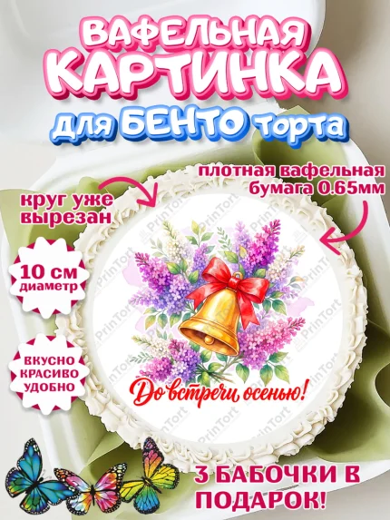 Вафельный круг для Бенто 10см, Подарок учителю, Девушка, Выпускной в школе, арт. PT323162