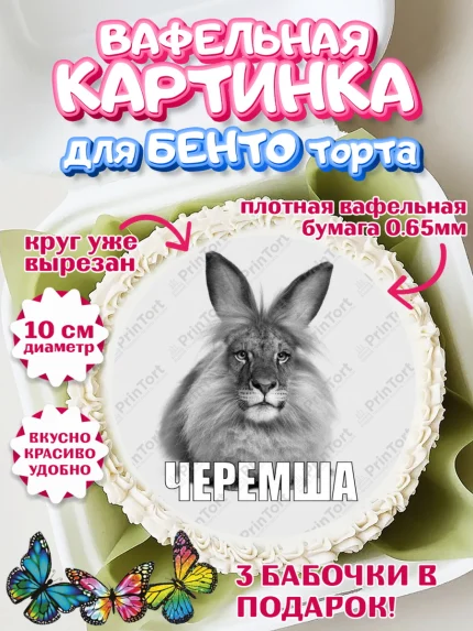 Вафельный круг для Бенто 10см, Черемша, Мем Черемша, Девочка, Без конкретного повода, арт. PT323444
